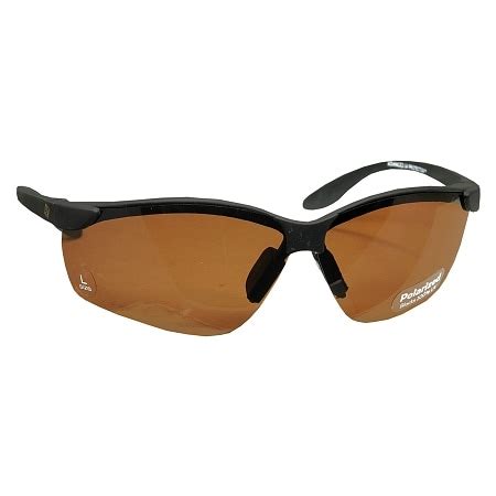 solar comfort sunglasses polarized